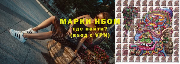 дживик Баксан