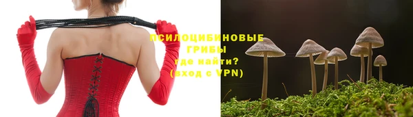 дживик Баксан