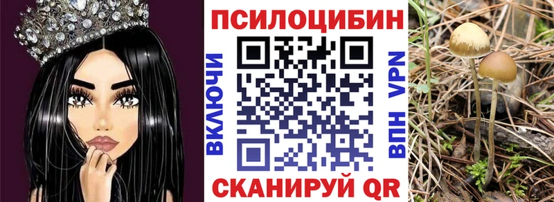 нарко площадка формула Североуральск Псилоцибиновые грибы Psilocybe